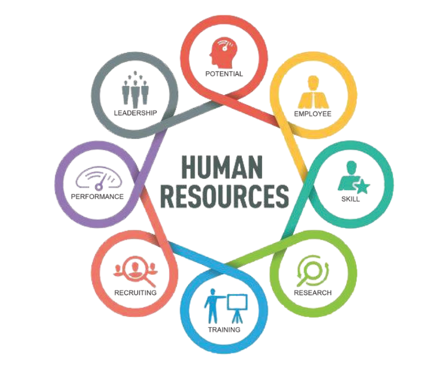 Fractional HR Directorship